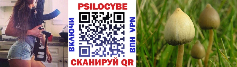 Псилоцибиновые грибы Cubensis  купить наркотик  Карабаново 