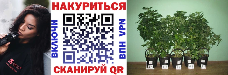 darknet как зайти  Карабаново  МАРИХУАНА VHQ  где найти  